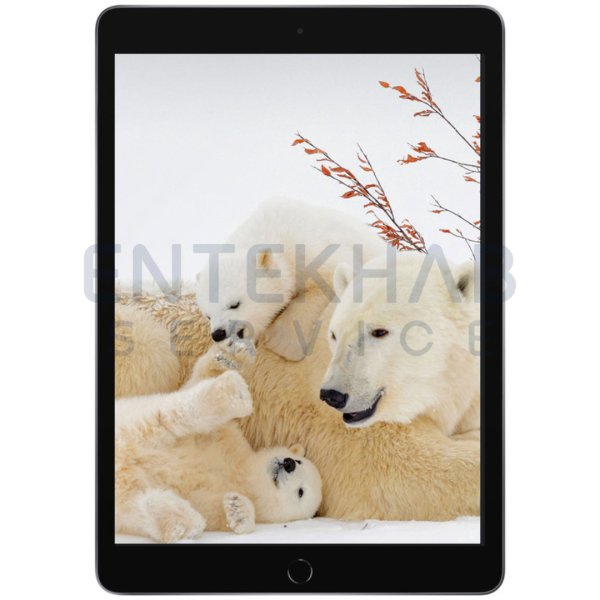 تبلت اپل مدل iPad 9th Generation Wi-Fi ظرفیت 64 گیگابایت رم 3 گیگابایت - Image 2